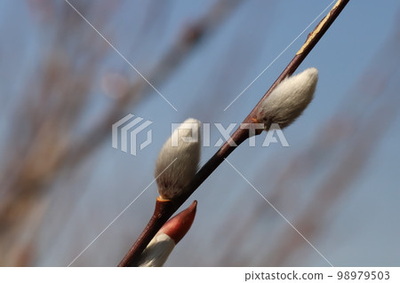 autumn clendenen add hairy white pussy photo