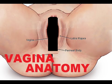 allicia buchanan add female anatomy porn photo