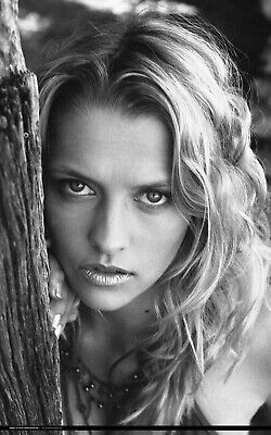 darla schoener add teresa palmer sexy image