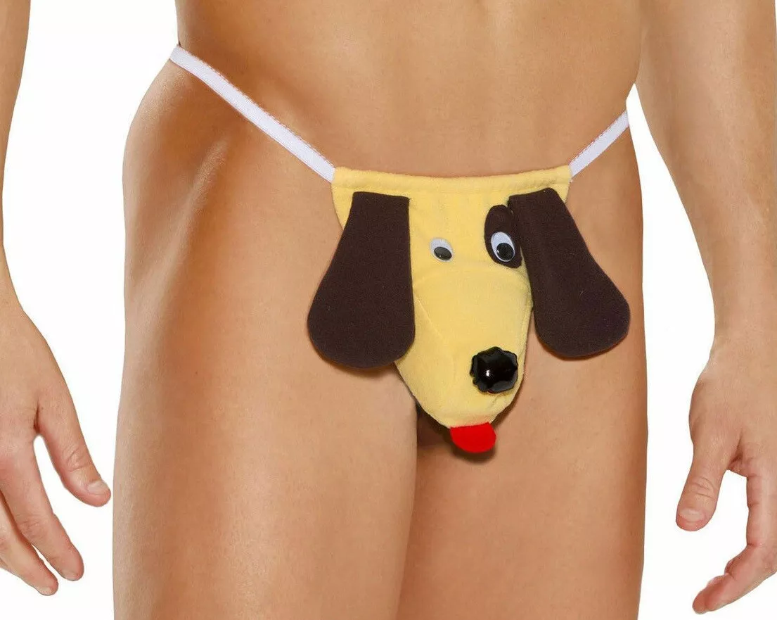 bob ragona add thong doggy image