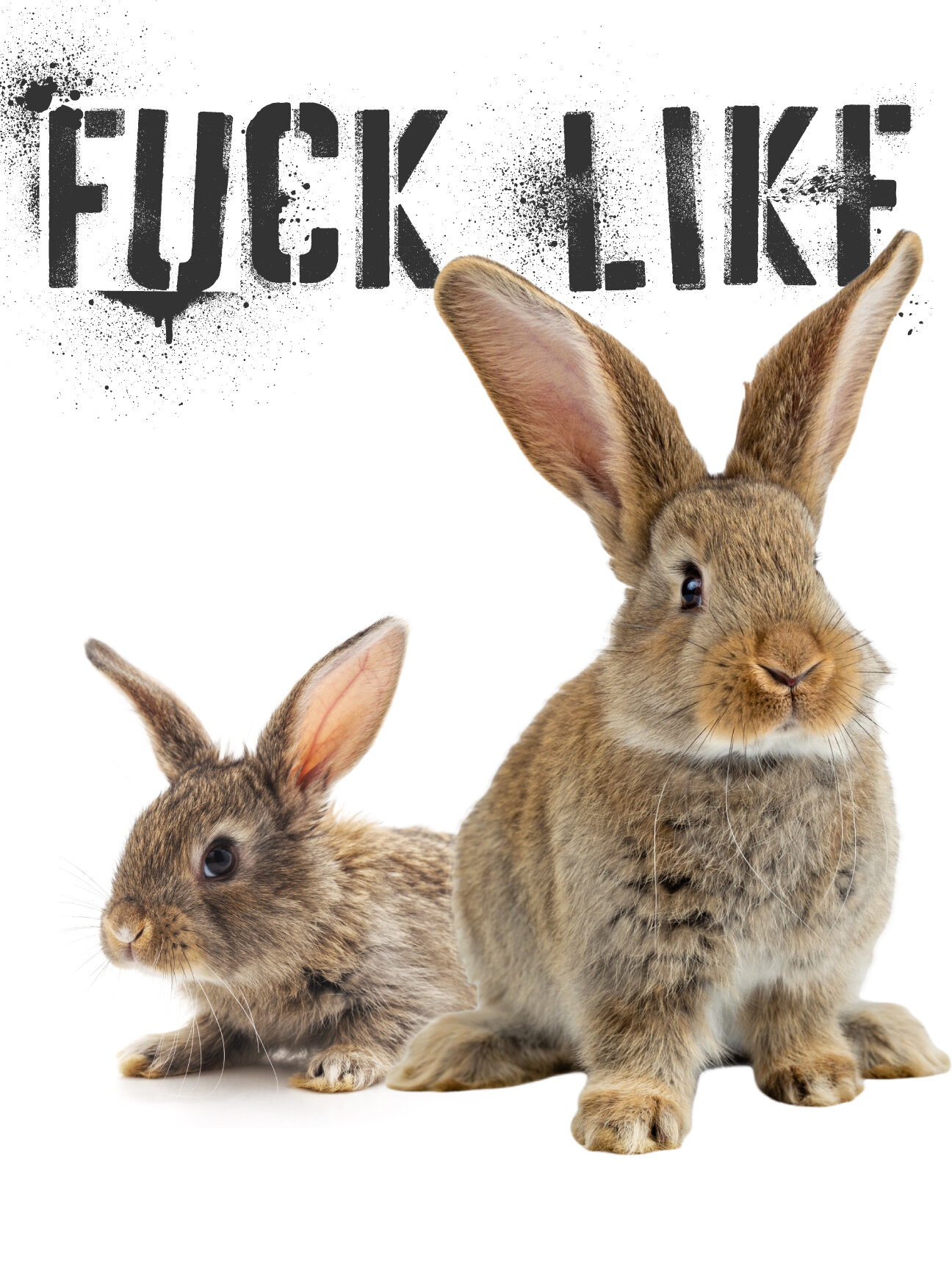 casey crabtree add fucking like rabbits photo