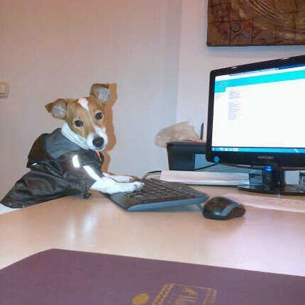 coenraad smit add secretary doggy photo