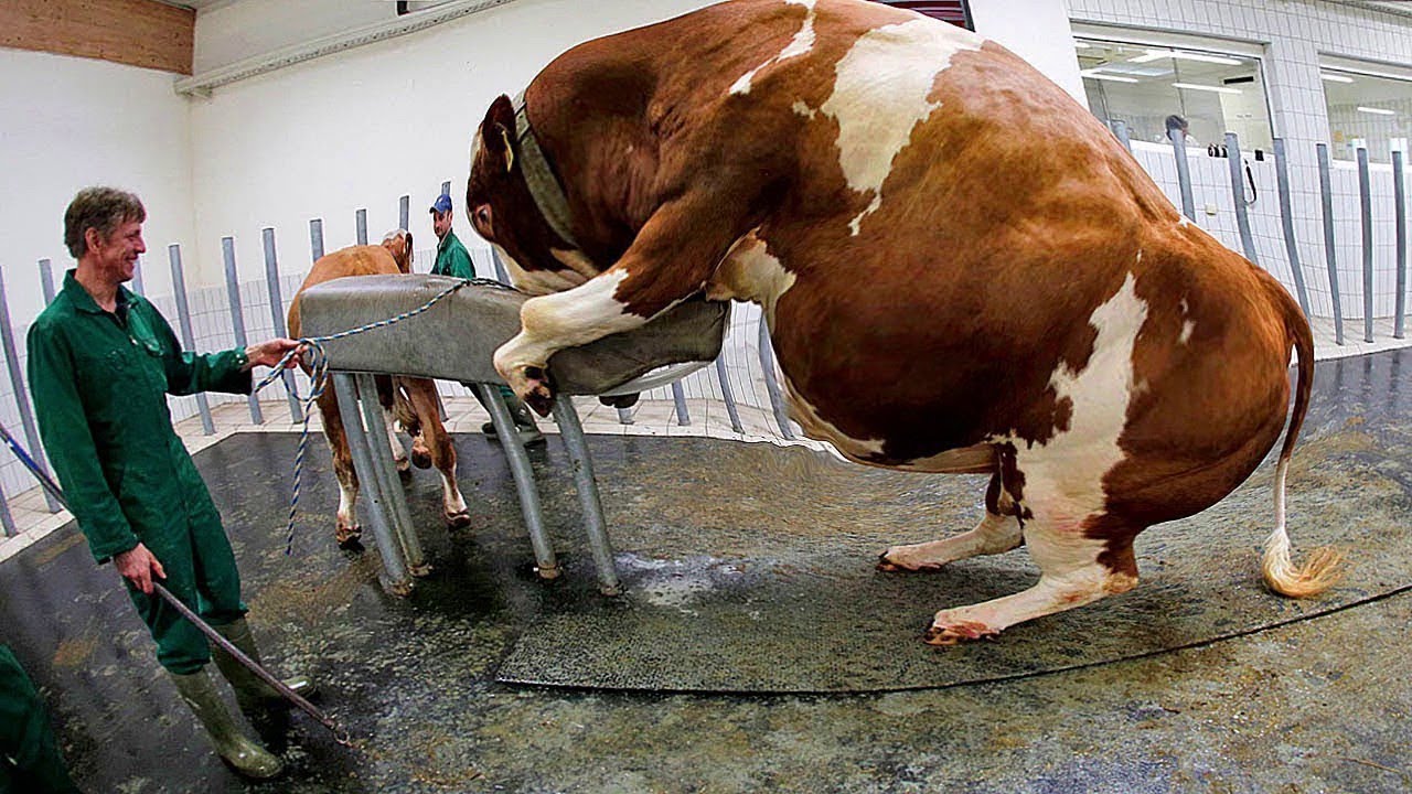 devon waite add extreme milking photo