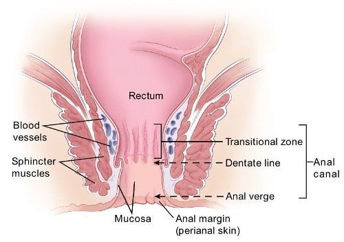 avelino a mendoza add high def anal photo