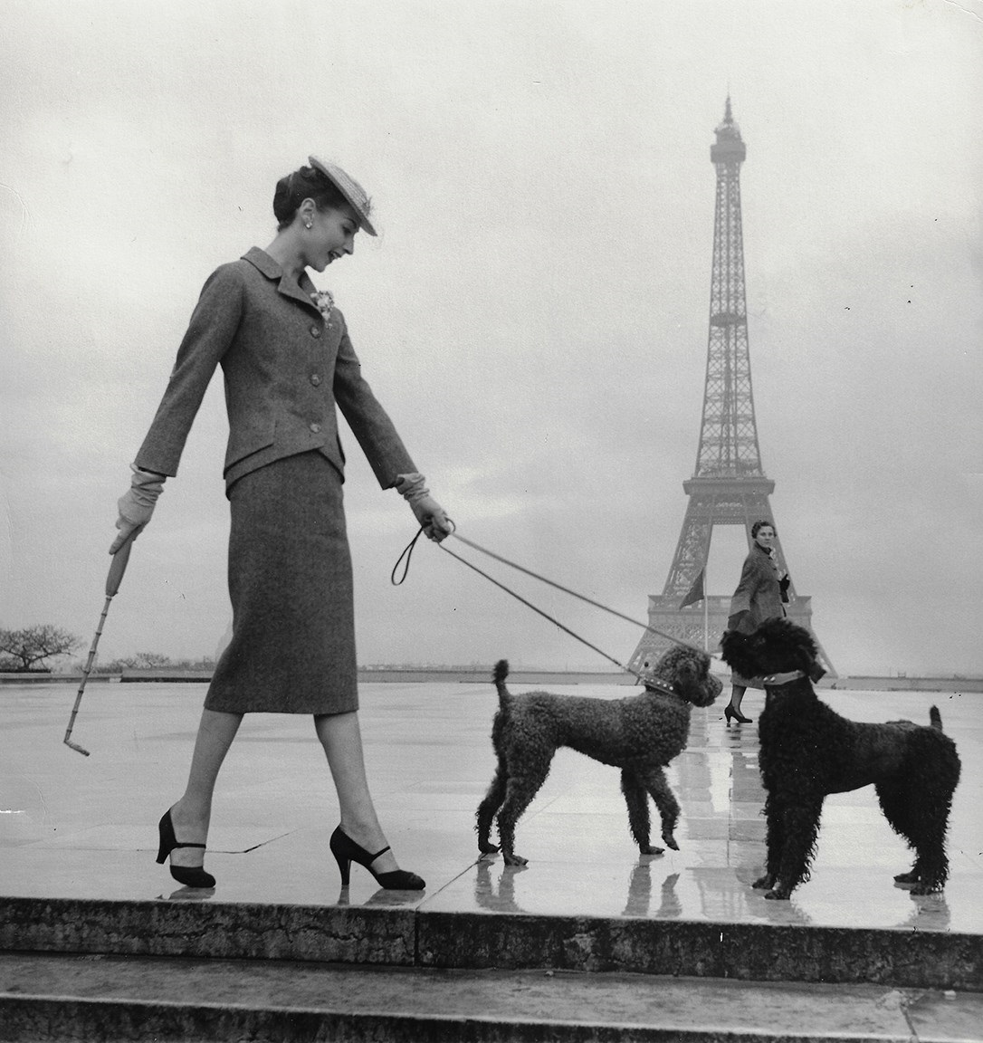 claire ryman add paris dahl image