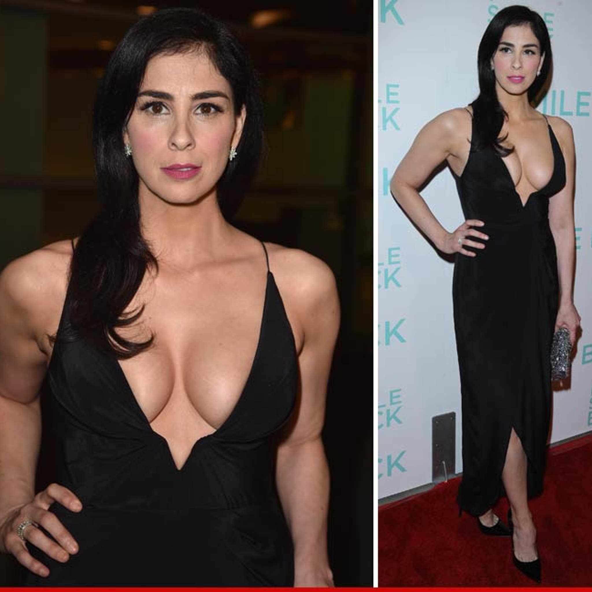 david duensing add sarah silverman tits photo